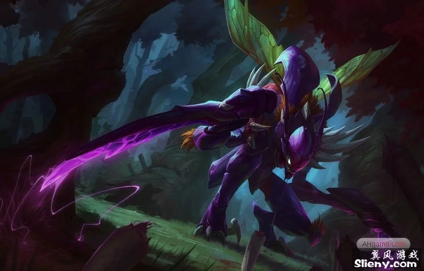 补坎塞洛的 补坎塞洛的