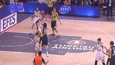 马来西亚羽 马来西亚羽